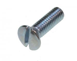 Lenskopbout M3 X 10 Din 964