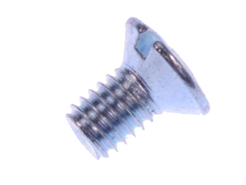 Lenskopbout M6 x 10 Din 964