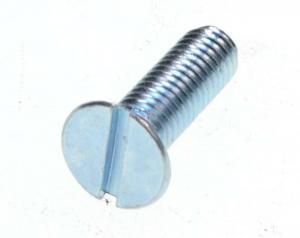Lenskopbout M6 x 15 Din 964