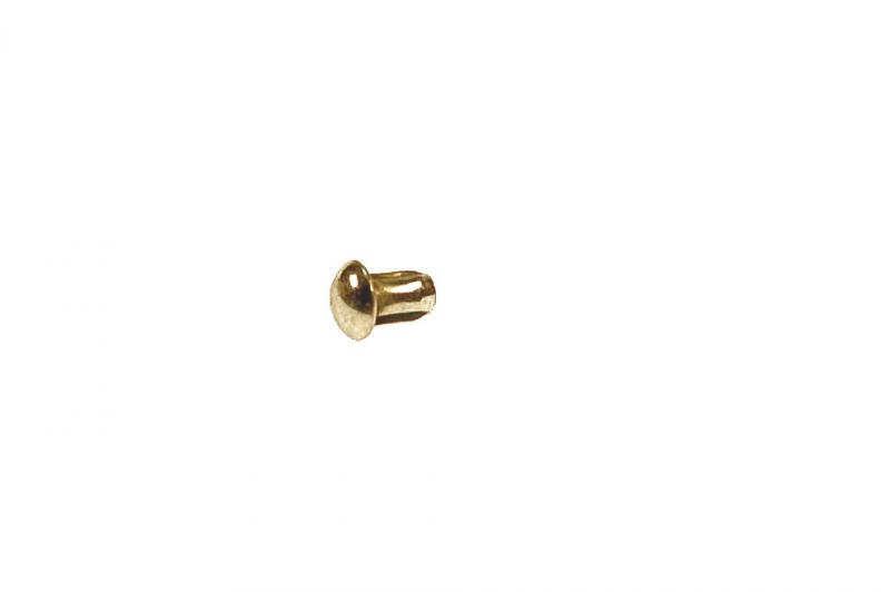 Halfronde kerfnagel voor typeplaatje NIEUW model