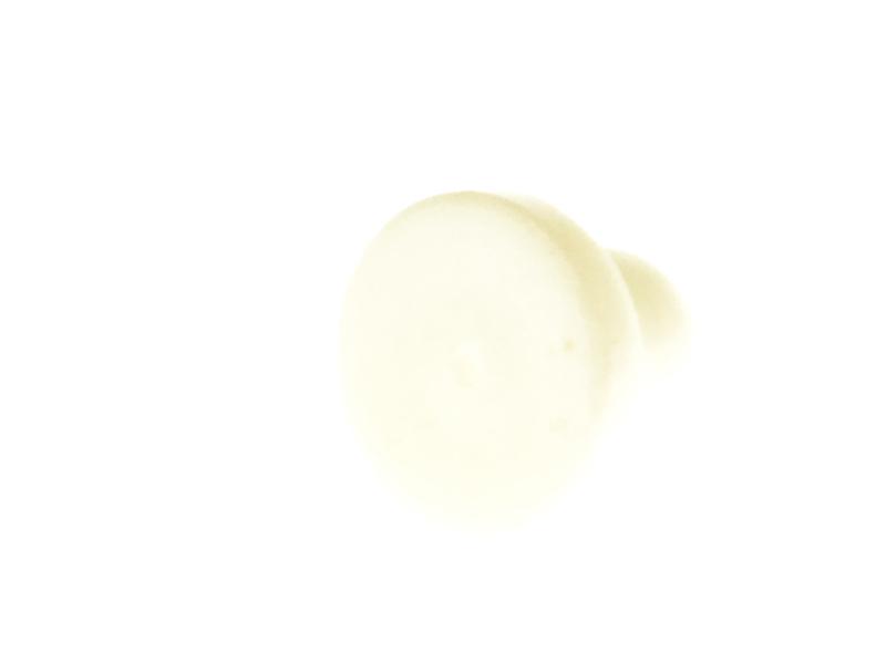 Knop voor drukstift 20mm ook wel bekend onder "paddestoel"