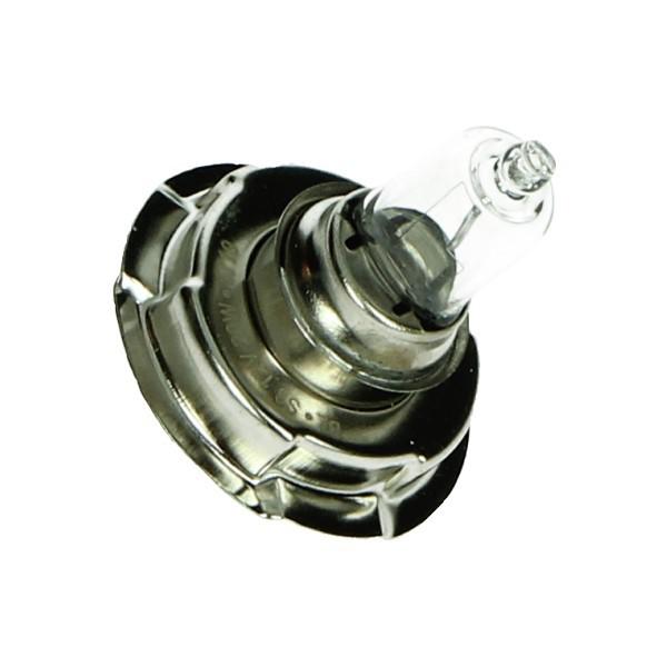 Lampje 12V 20W HALOGEEN met kraag p26s