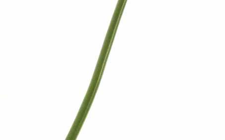 Elektra snoer, 1.5mm GROEN, prijs per meter...